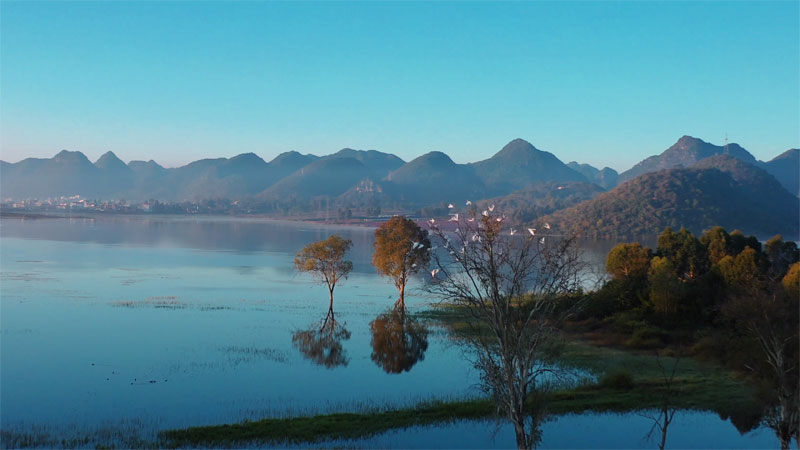 丰收水库的山、水、鸟构成一幅灵秀的生态画卷。王国礼摄
