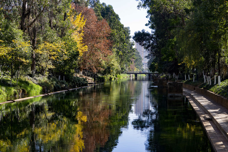 盘龙江畔生态美。郑益摄