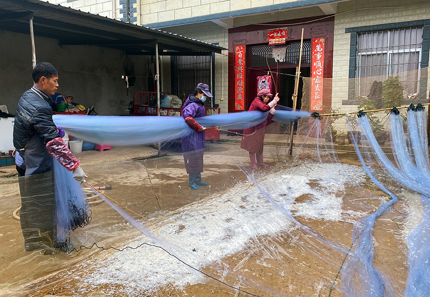 漁民正在收魚。陽宗海融媒體中心供圖