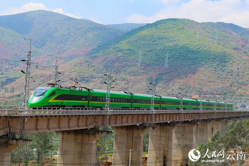 “綠巨人”動車組行駛在新成昆鐵路楚雄段。梁穎攝