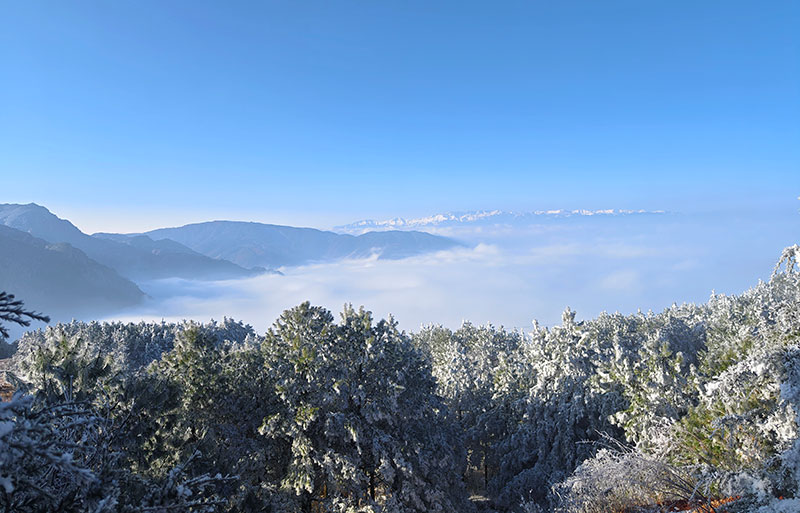 大雪過后，大海鄉銀裝素裹。