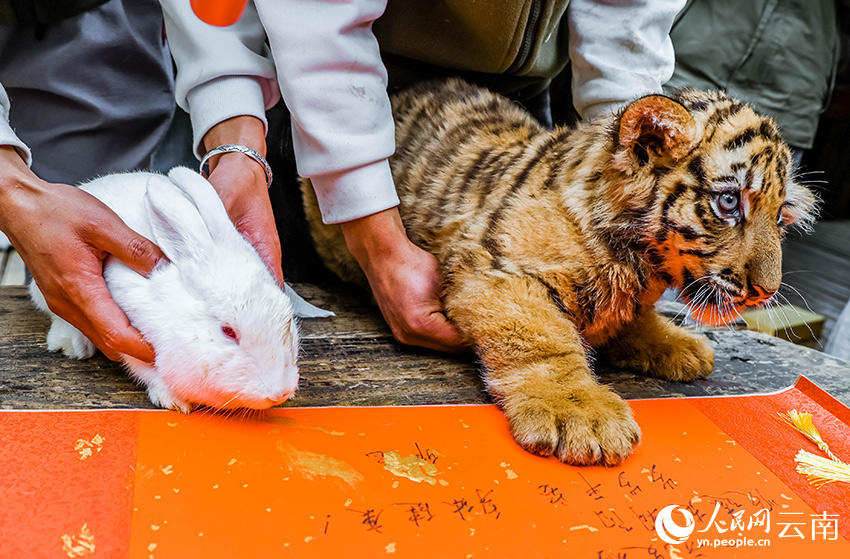 “交班”仪式。人民网 曾智慧摄