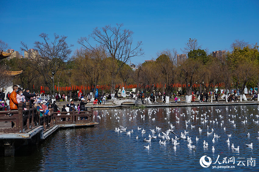 游客在昆明大观公园游玩。人民网记者 李发兴摄