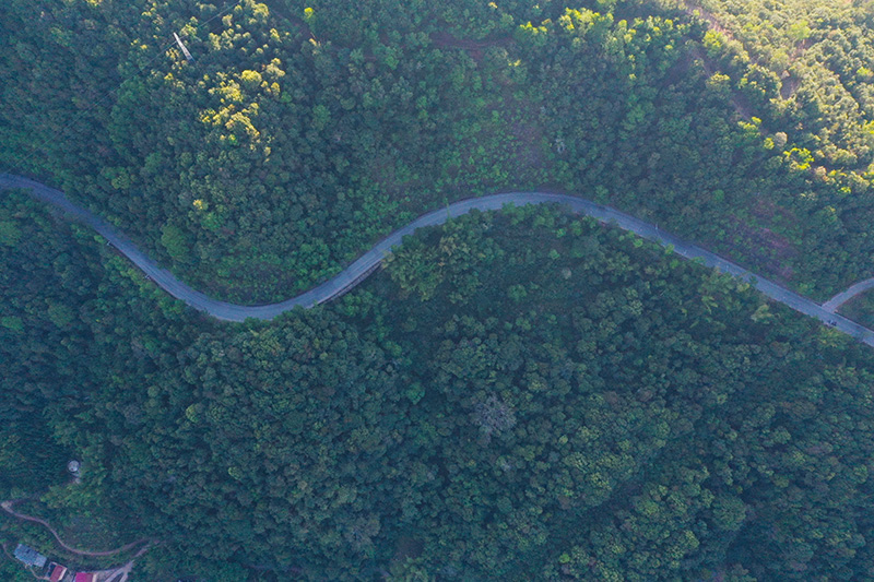 一路一景致,“绿美公路”成为云南西盟靓丽“风景线”。史威摄