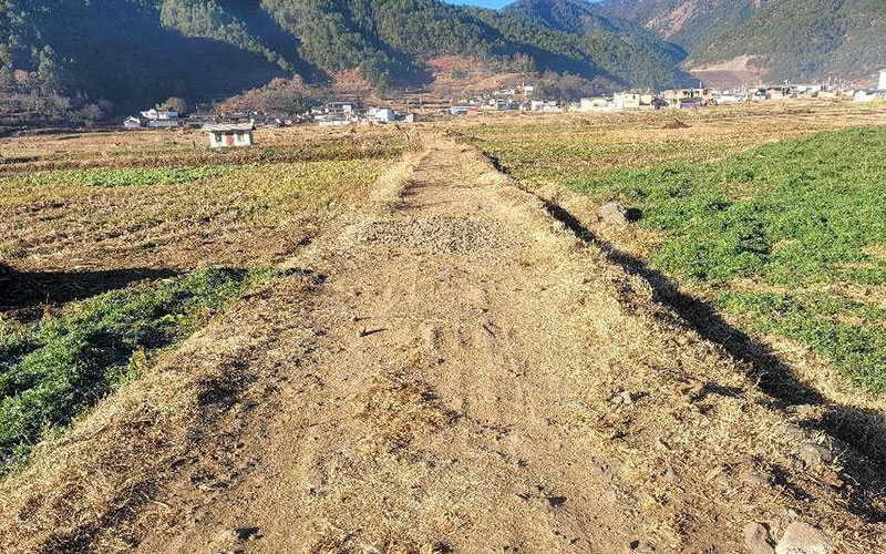 宁利村委会硬化项目施工前的土路。徐丹妍摄