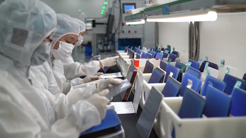 晶科。楚雄市融媒体中心供图