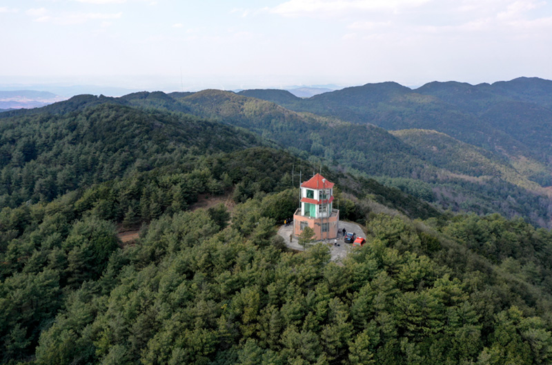 法土林场瞭望塔。