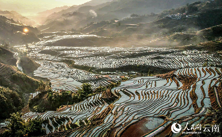 万亩梯田育秧忙。马冬师摄