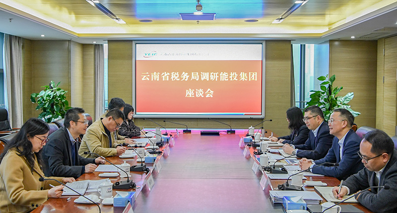 国家税务总局云南省税务局党委委员、副局长杨边边上门走访全国人大代表、云南省能源投资集团有限公司党委书记、董事长胡均。（李春妃--摄）