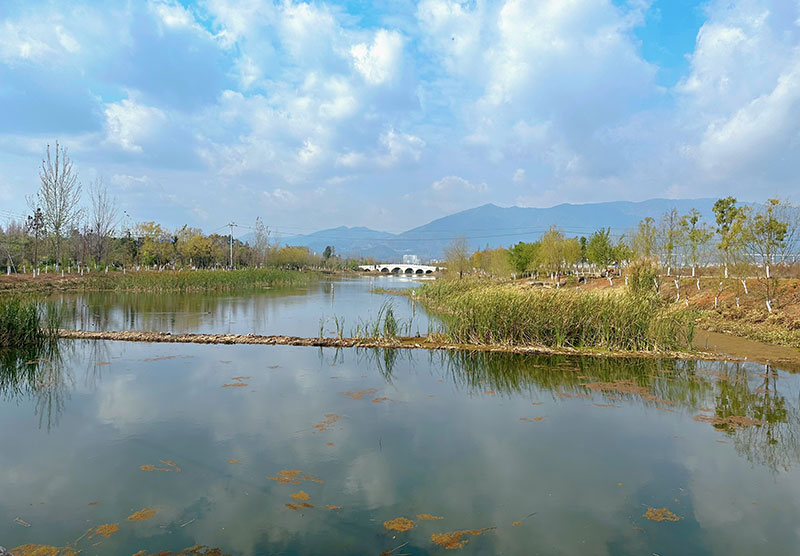 果博云南澄江：清运水生植物 为湖岸打开绿窗(图1)