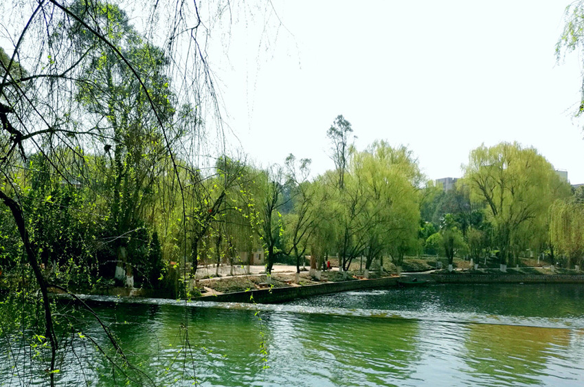 双龙公园