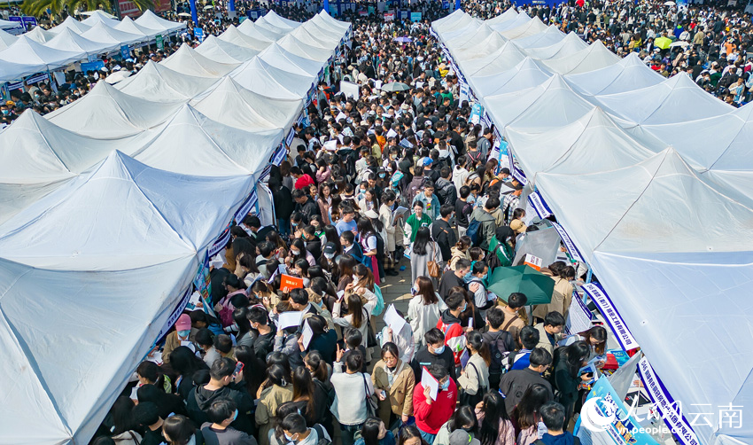云南省2023届综合类高校毕业生暨国有企业专场招聘会现场。李哲摄