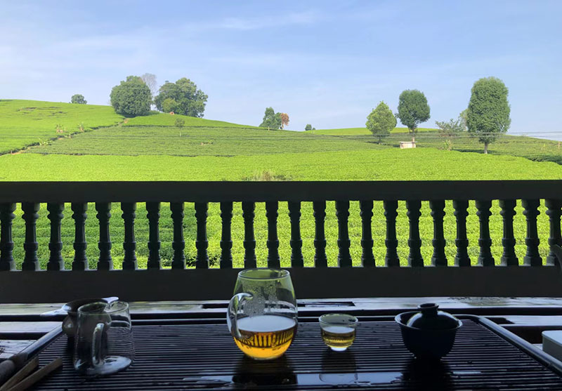 茶室看茶山风景。