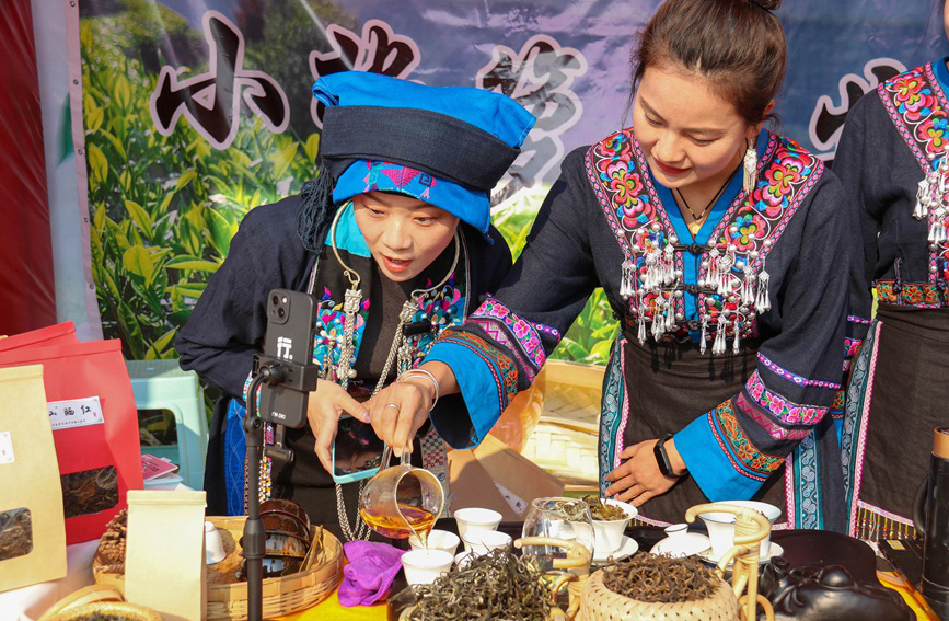 哈尼族姑娘通过手机直播推介普洱茶。周晓鹃摄