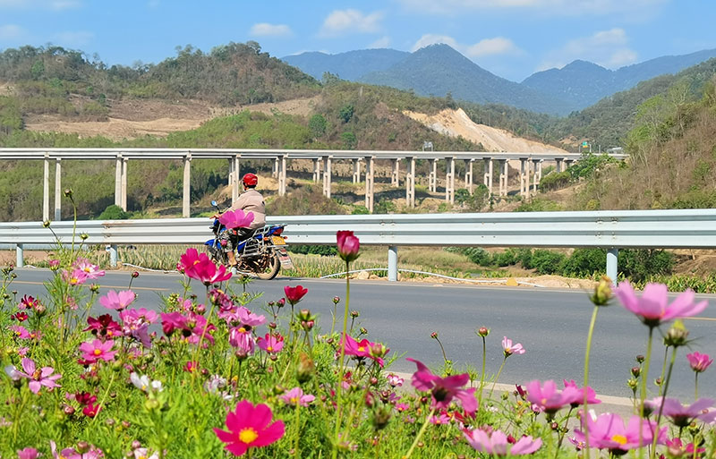 綠美公路。鎮沅縣融媒體中心供圖