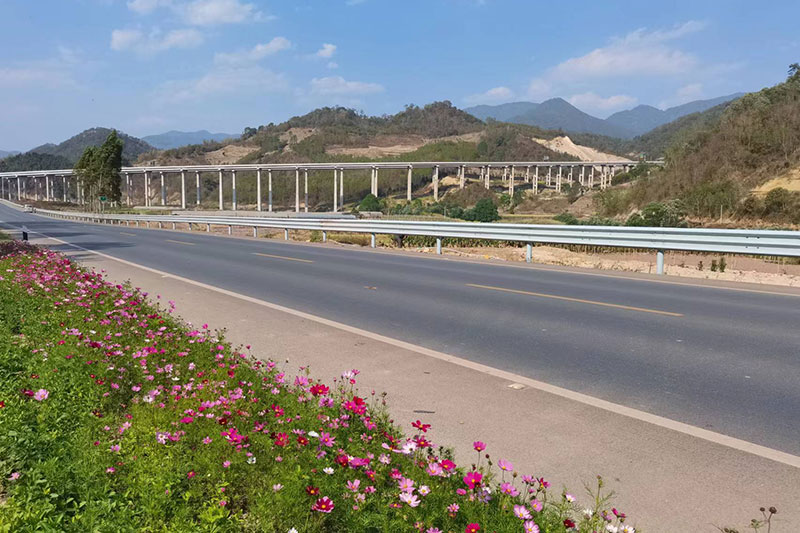 綠美公路。鎮沅縣融媒體中心供圖 