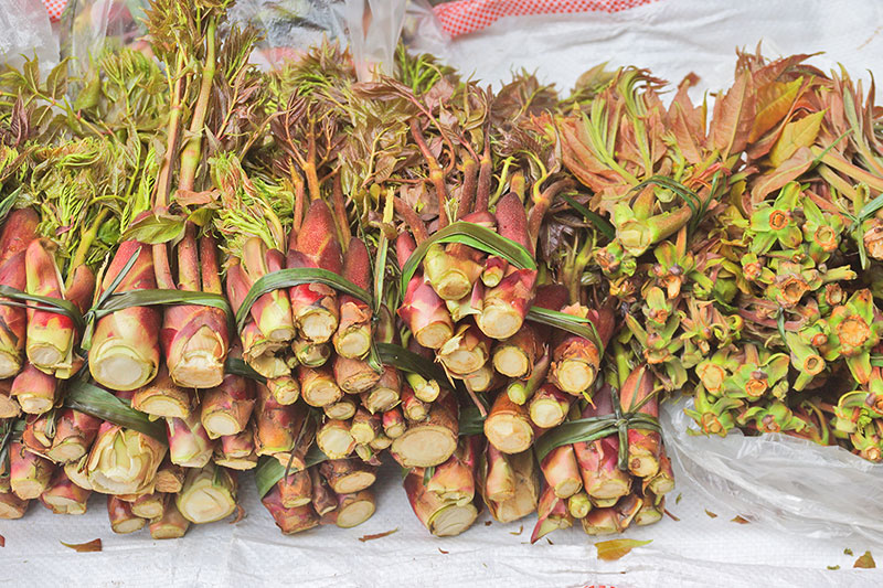 各类野菜受欢迎。李姝颖摄