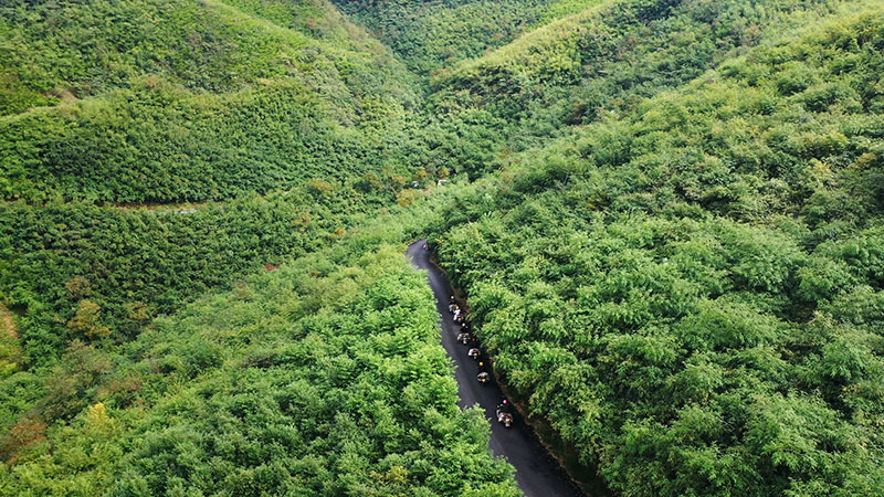 镇雄县杉树乡细沙河村竹笋基地