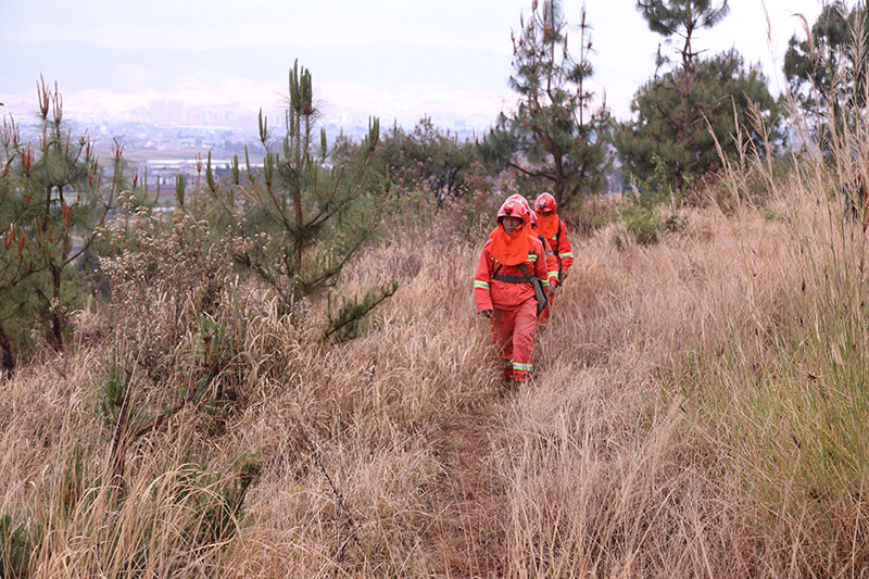 森林草原专业队在巡山途中。李武华摄
