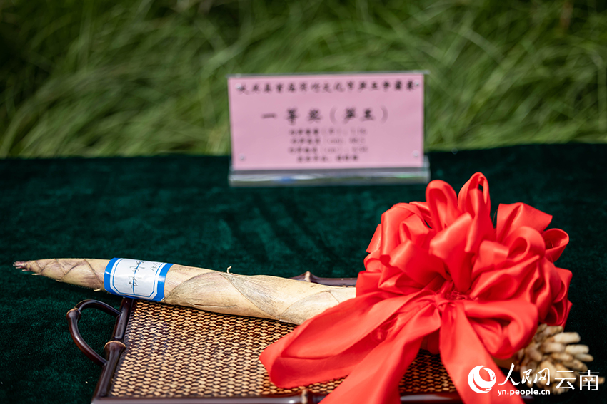 文化节期间评选出的笋王。人民网记者 程浩摄