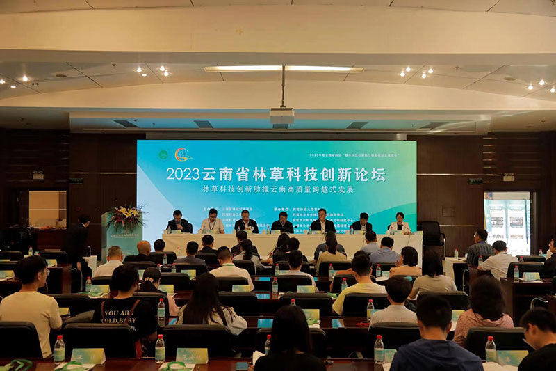 活动现场。朱皓天摄