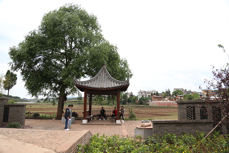 播乐乡美丽乡村建设。