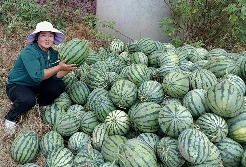 瓜农和自家西瓜合影。镇沅县融媒体中心供图