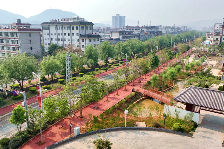 绿美滨河路。