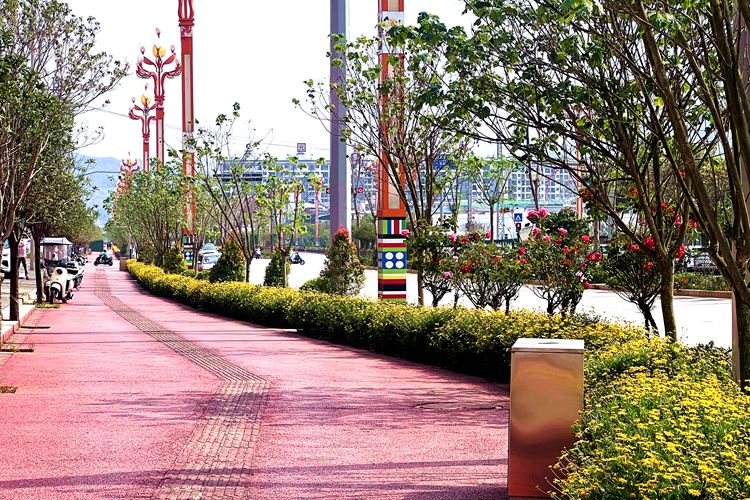 绿美道路。