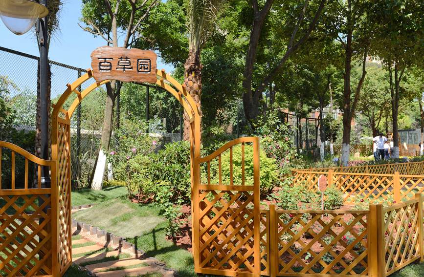 百草园。王正鹏摄