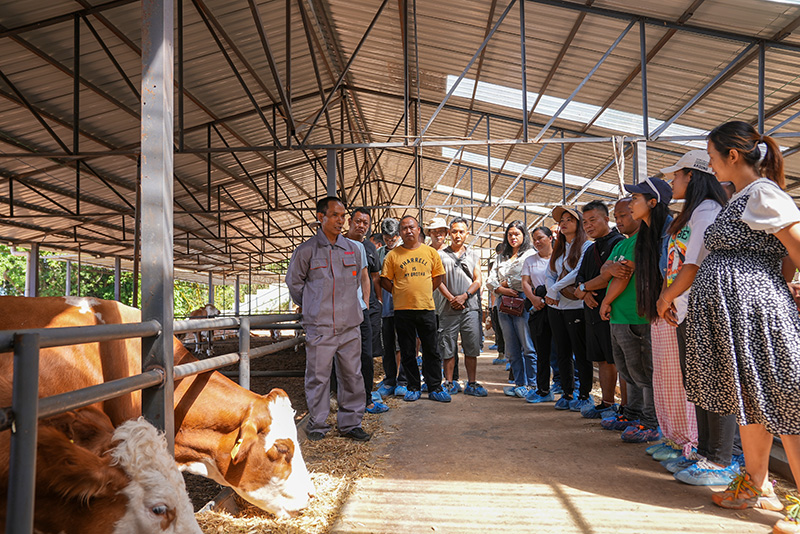 當地干部群眾參觀肉牛養殖場。奚川江攝