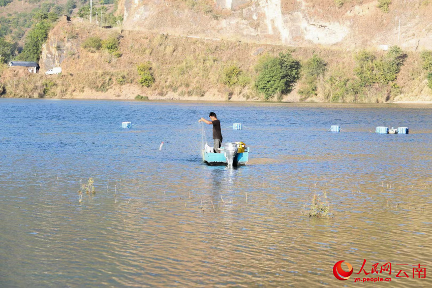 正在捕撈銀魚的村民。李立佳攝