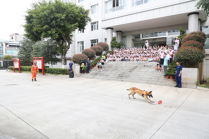 萌娃们观看搜救犬练习。临沧市消防救援支队供图