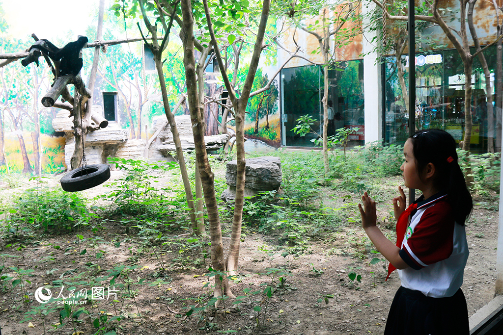 5月31日，小朋友在天津動物園觀賞動物，開心游玩。人民網記者 唐心怡攝