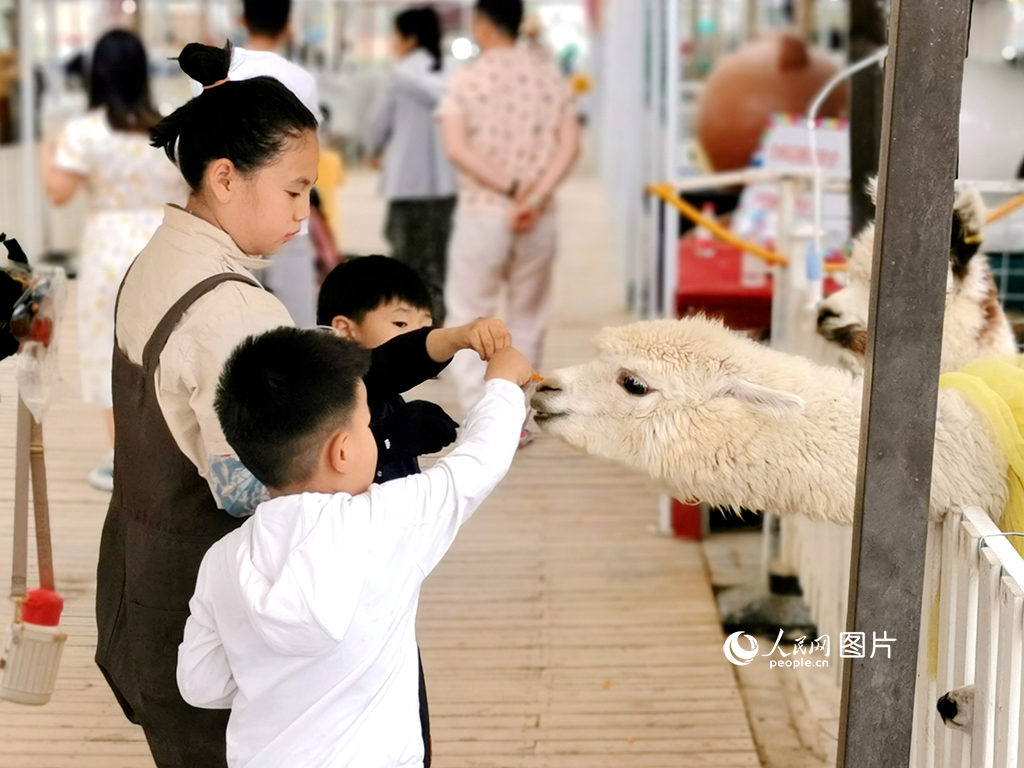 5月28日，小朋友在寧夏銀川市的公園裡給小動物喂食。人民網 閻夢婕攝