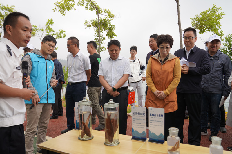 参观鱼类标本