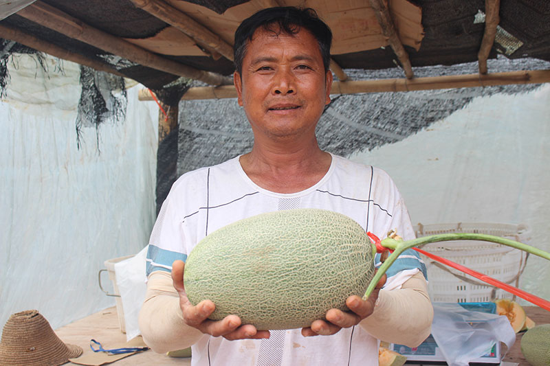 正兴镇哈密瓜种植户（2023年6月摄）1