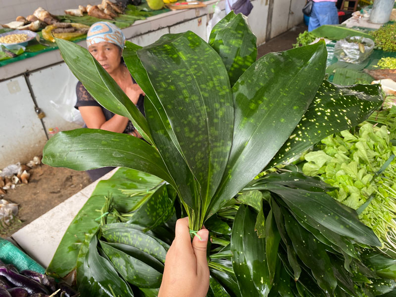 在云南澜沧的集贸市场，一捆捆、一堆堆新鲜碧绿的粽叶随处可见。澜沧县融媒体中心供图