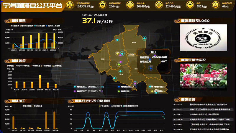 寧洱咖啡豆公共平台。楊媚攝_副本
