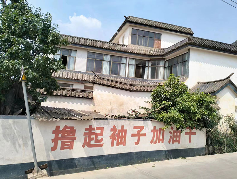 大田坝王启映家新建的房子（仇亚南5月25日摄）-(1)