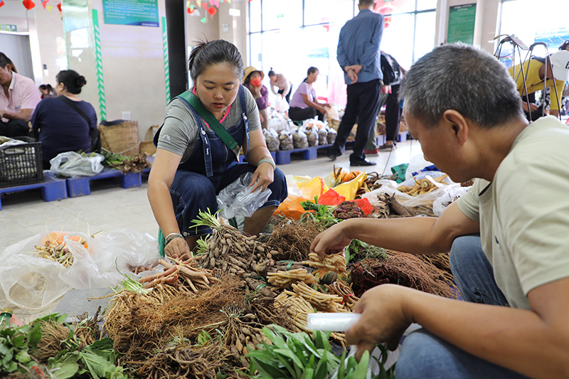 赵建芬正在向市民介绍药根。苏红亮摄