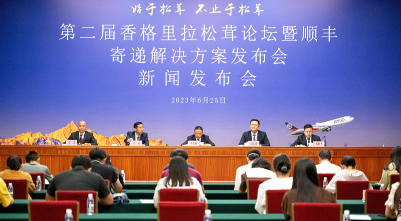 发布会现场。