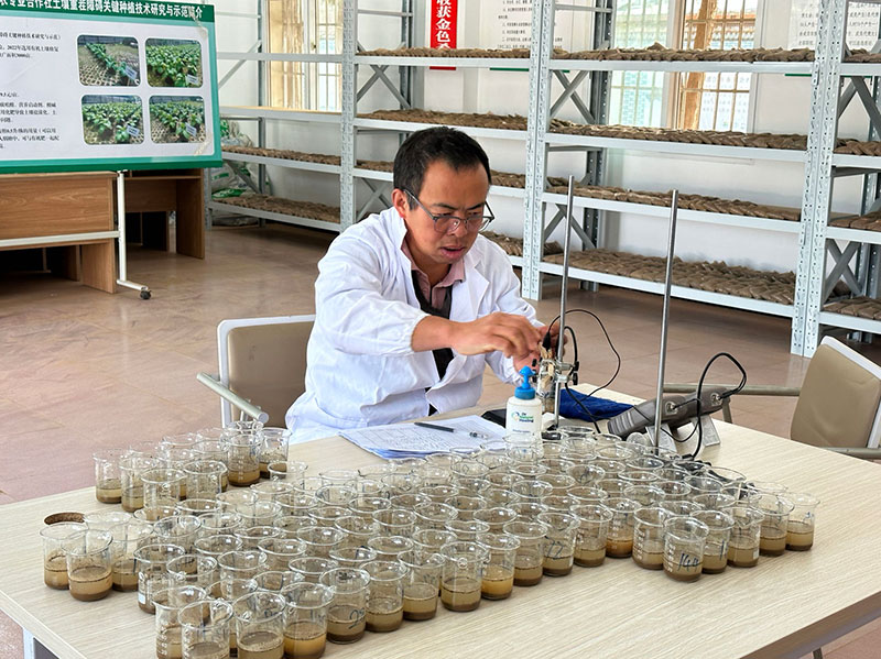 图：工作人员对土壤样品进行电导率检测（5月25日）--陈志青摄