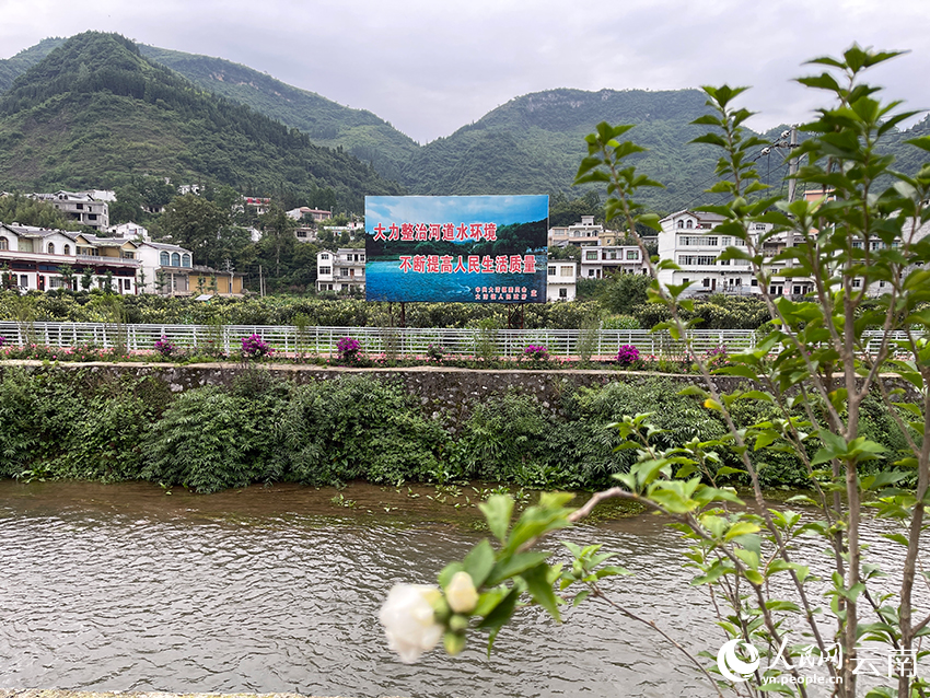 岸边竖着保护河道的宣传牌。人民网记者 程浩摄