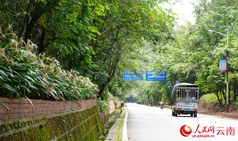 “一路一景、景隨車移、路景交融”的公路景觀。艾嘎攝