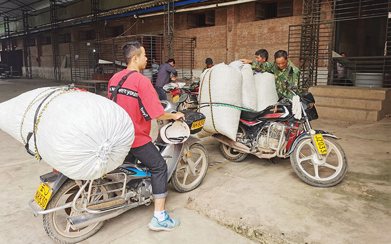 蚕农们前来售卖蚕茧。景东县融媒体中心供图