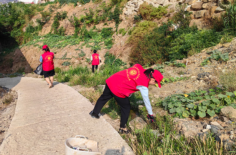 组织清理道路沿线的垃圾。