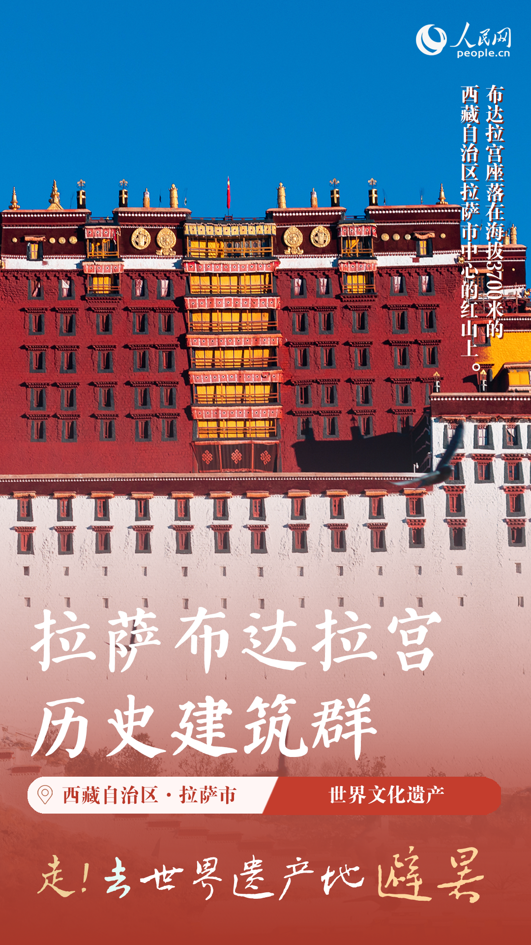 （海报制作：实习生蒋双园）