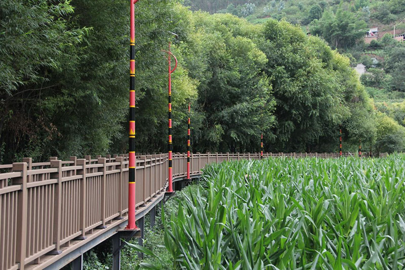 新村生态廊道。