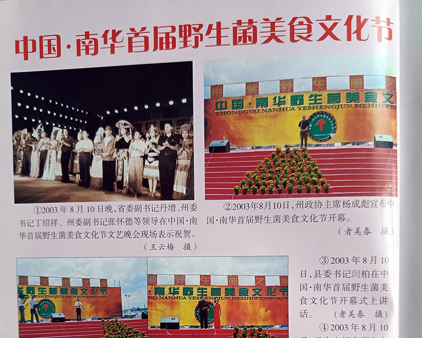 首届野生菌美食文化节相关报道。南华县委宣传部供图